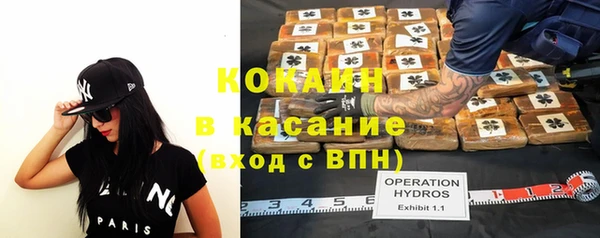 сатива Богданович