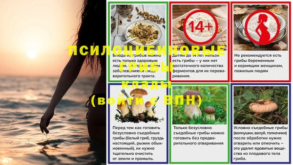 сатива Богданович
