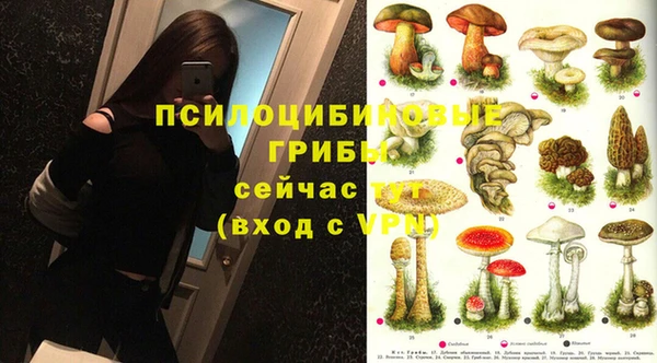 сатива Богданович