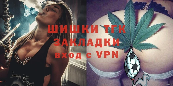 сатива Богданович