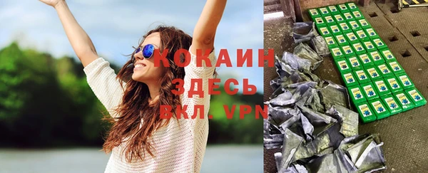 молекула духа Богородск
