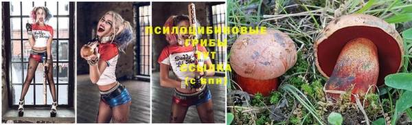 сатива Богданович