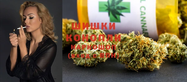 молекула духа Богородск