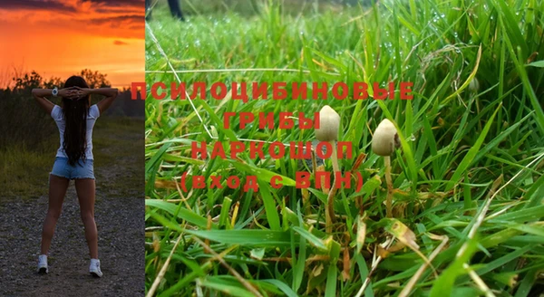 молекула духа Богородск