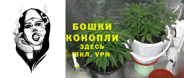 молекула духа Богородск
